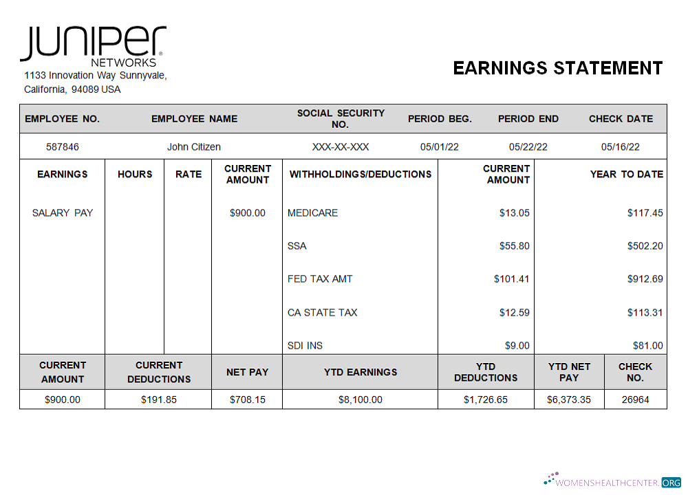 Download USA Juniper networking company pay stub Photoshop template